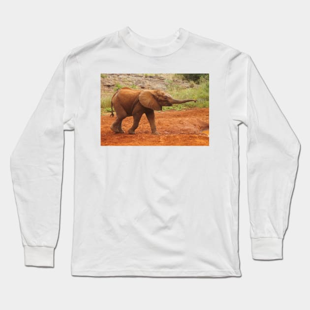 Baby Elephant After a Dust Bath Long Sleeve T-Shirt by Carole-Anne